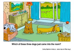 13_Look_See_Think_Puzzles: Colour; Puzzle