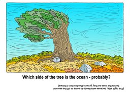 14_Look_See_Think_Puzzles: Colour; Puzzle