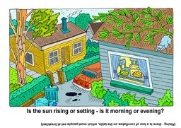 16_Look_See_Think_Puzzles: Colour; Puzzle