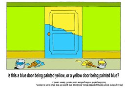 46_Look_See_Think_Puzzles: Colour; Puzzle